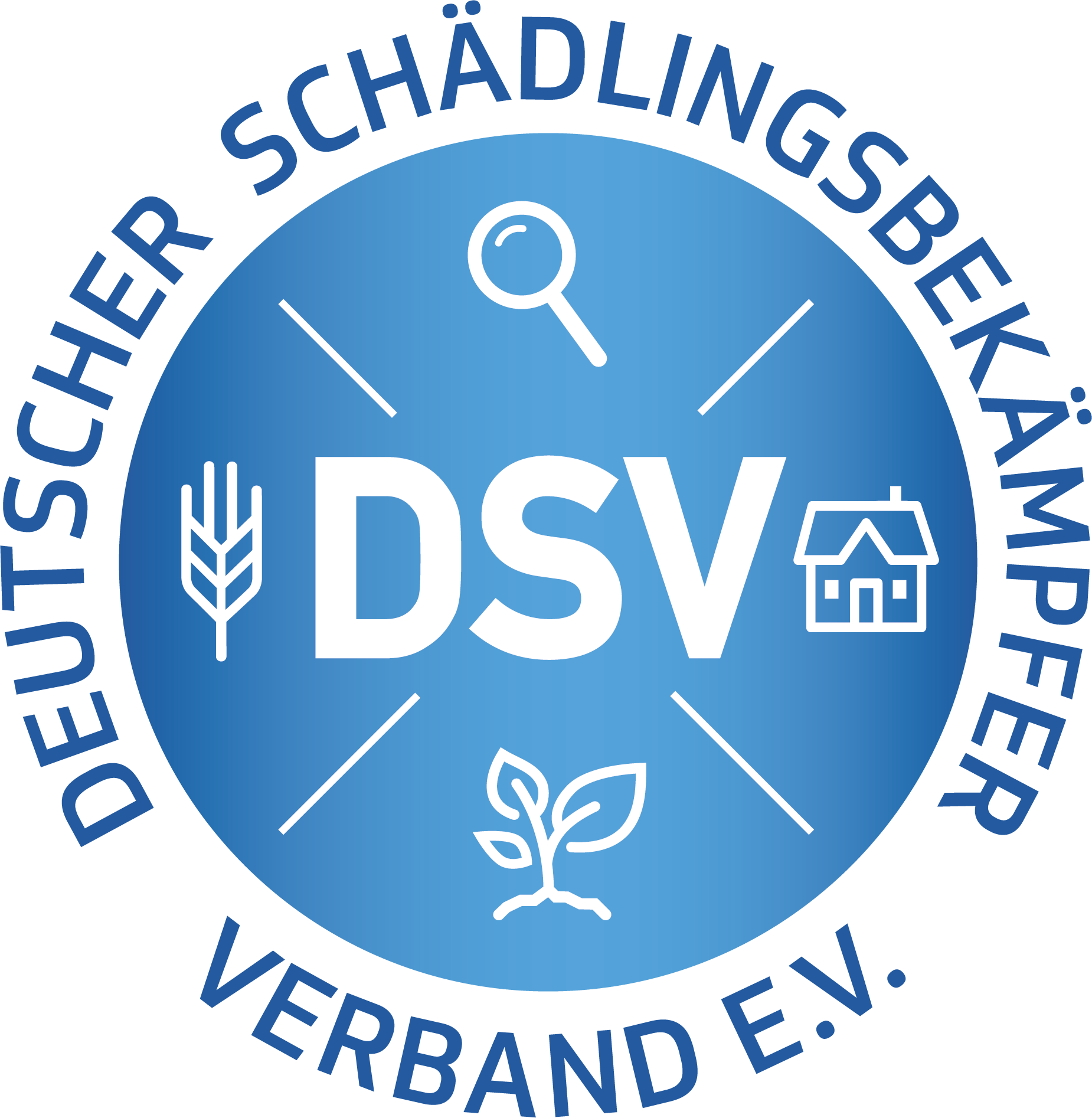 DSV Logo